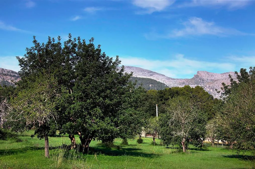 Дом отдыха Вилла Finca Son Jorda Кампанет